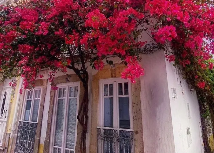 Elegant Formosa In Taviras Historica Centre * Tavira